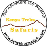 Lets Begin Our Journey